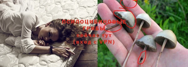 spice Алексин